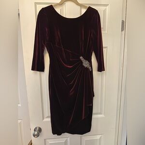 Burgundy Velvet Long-sleeve Dress with Embellishment Size 8